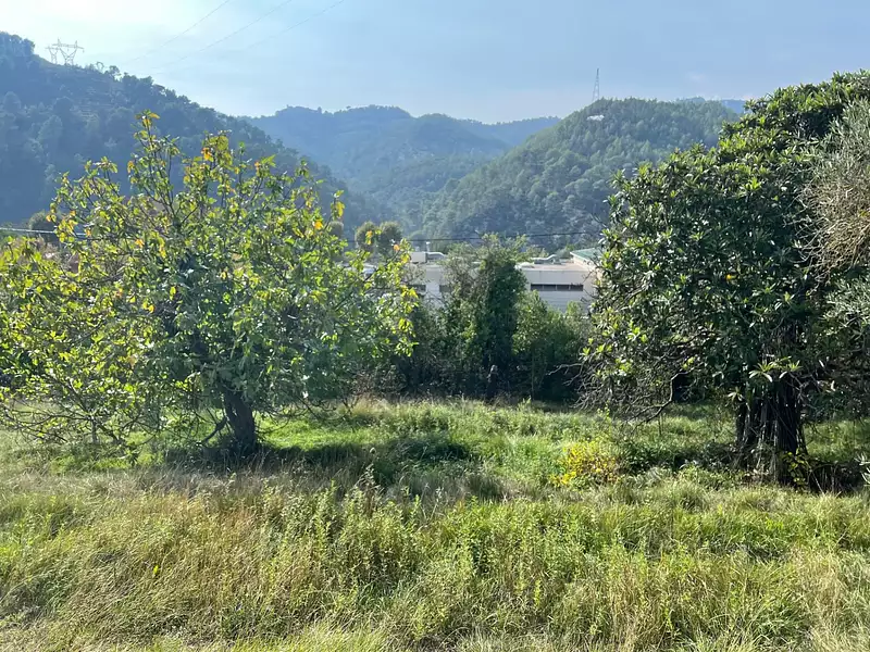 Terrain, 1 143 m²