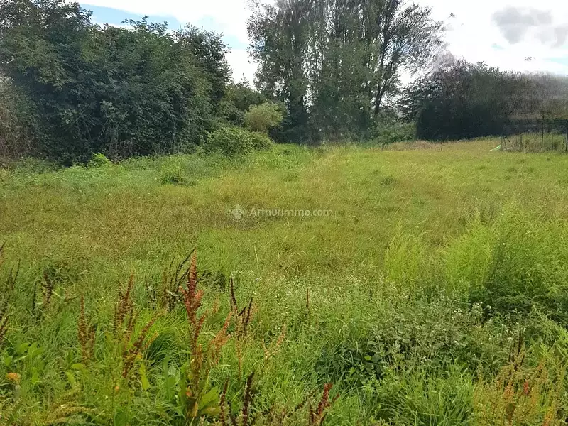 Terrain, 461 m²