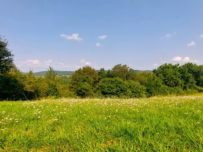 Terrain, 1 338 m²