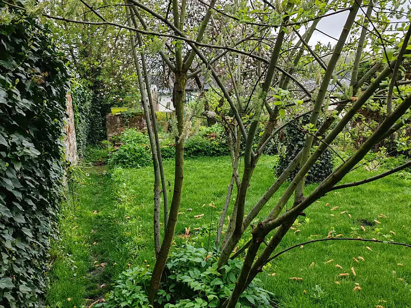 Maison, 150 m²