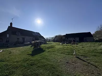 Maison, 115 m²