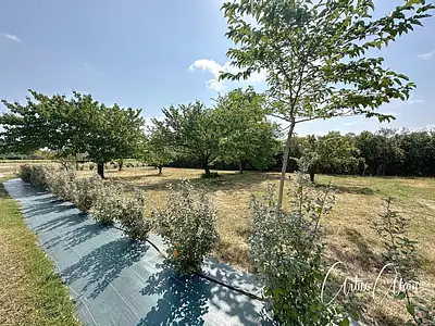 Maison, 94 m²