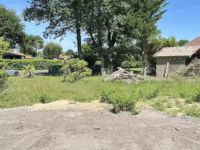 Terrain