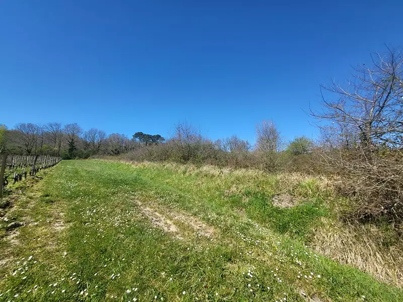 Terrain, 7 061 m²