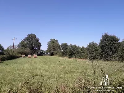 Terrain, 2 685 m²