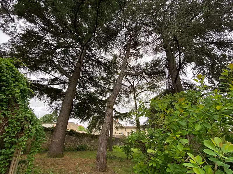 Maison, 700 m²