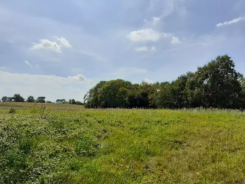 Terrain, 1 329 m²