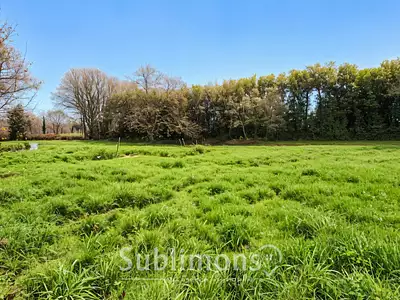 Terrain, 2 700 m²