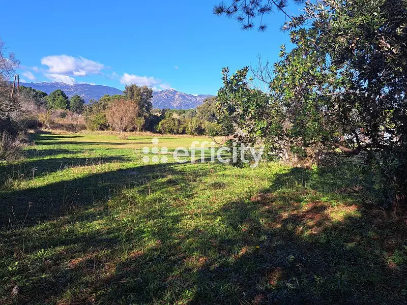 Terrain, 4 023 m²