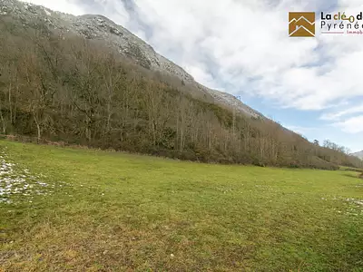 Terrain, 1 001 m²