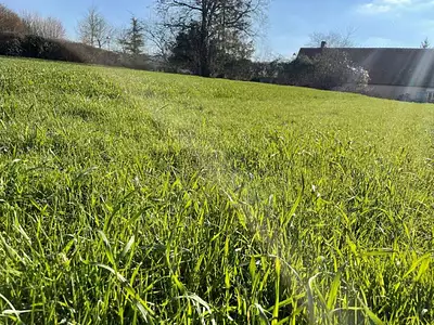 Terrain, 1 265 m²