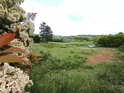 Terrain, 1 005 m²