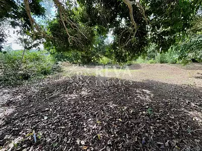 Terrain, 800 m²