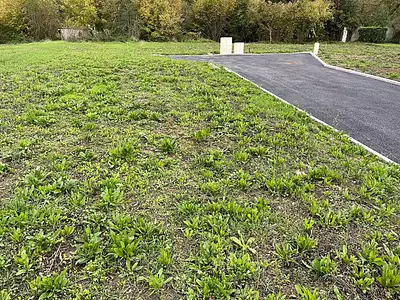 Terrain, 401 m²