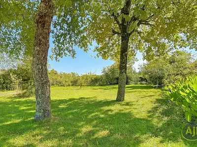 Terrain, 719 m²