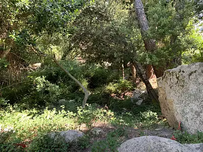 Terrain, 495 m²
