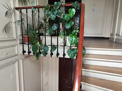 Appartement, 8 m²
