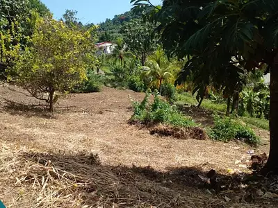 Terrain, 886 m²