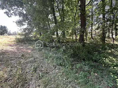 Terrain, 2 135 m²