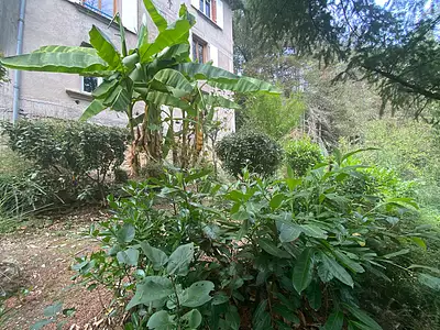 Maison, 131,24 m²