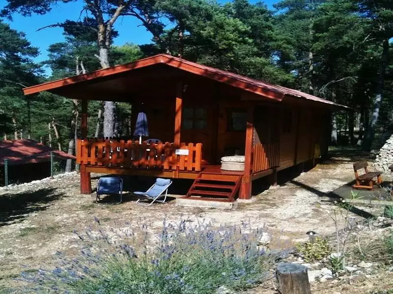 Terrain, 160 000 m²