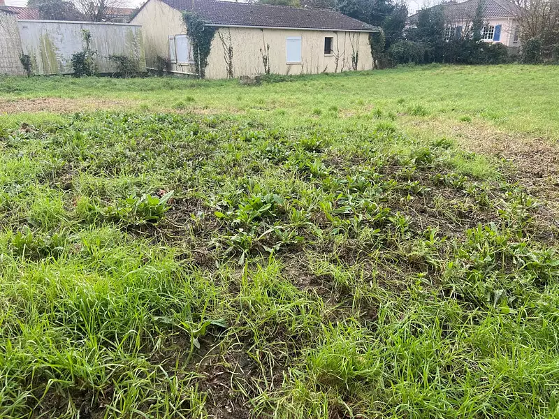 Terrain, 559 m²