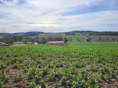 Terrain, 1 148 m²