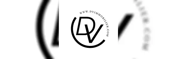 DV IMMOBILIER