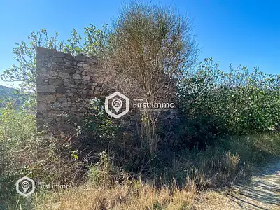 Terrain, 1 319 m²