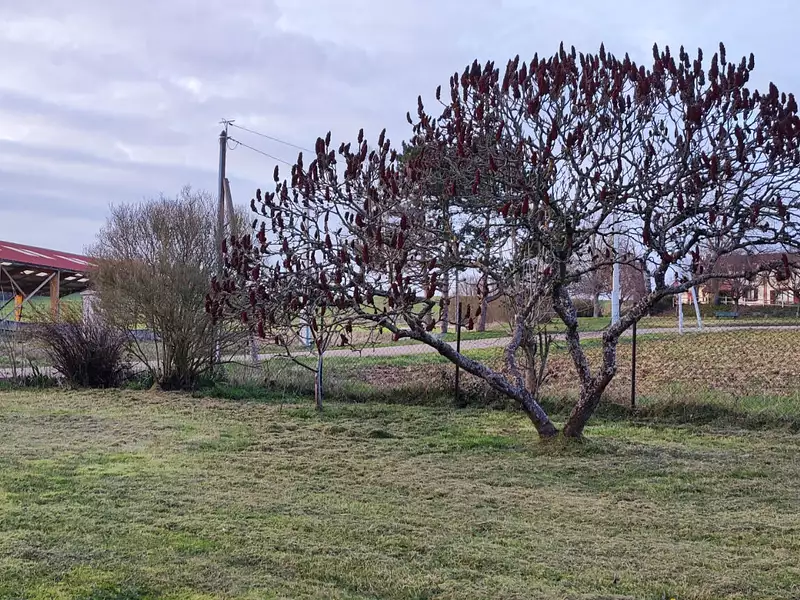 Terrain, 1 790 m²