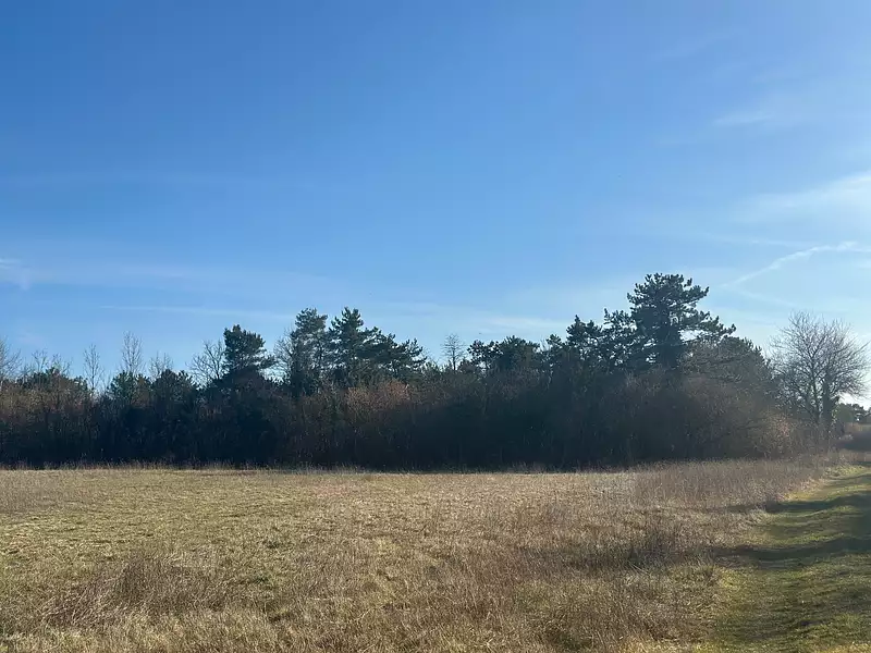 Terrain, 90 162 m²