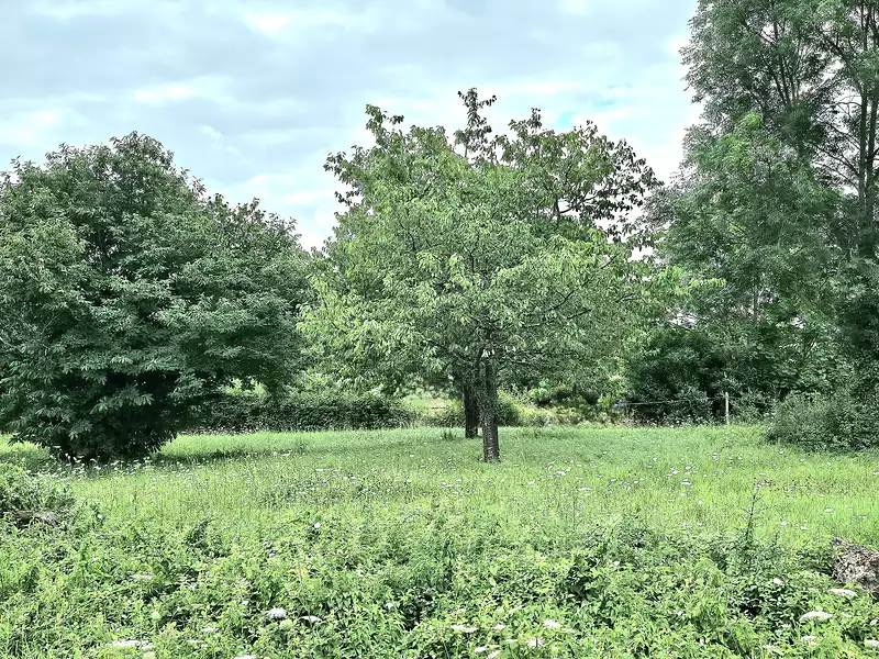 Terrain à bâtir, 2 890 m²