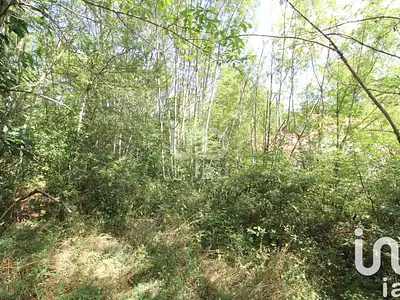 Terrain, 1 288 m²