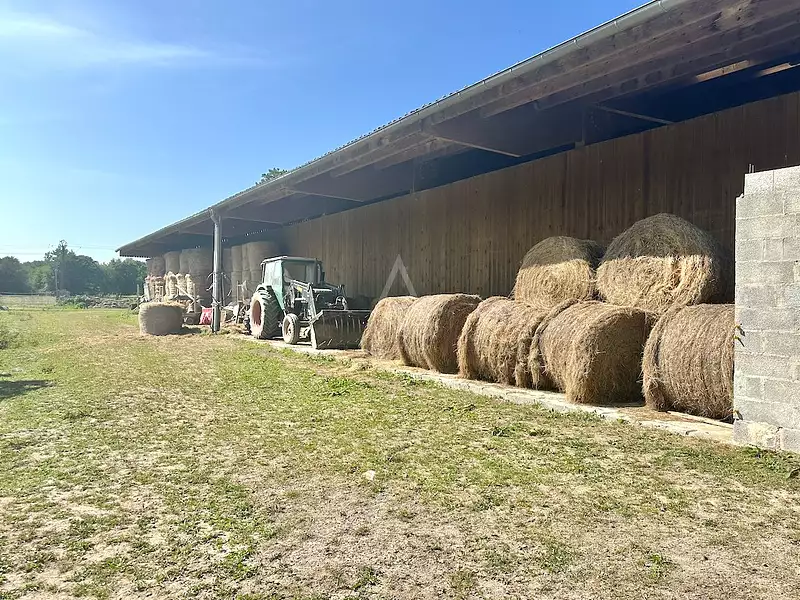 Maison, 230 m²