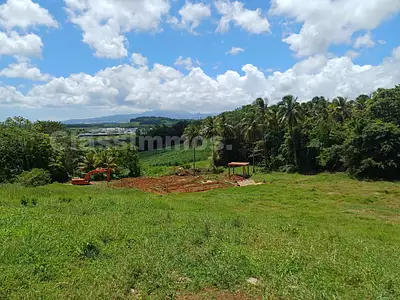 Terrain, 1 300 m²