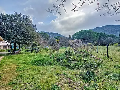 Maison, 239 m²