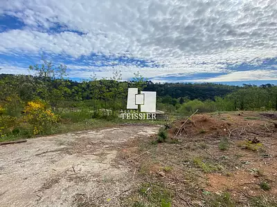 Terrain