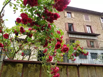 Maison, 126 m²