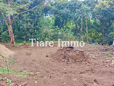 Terrain, 1 136 m²