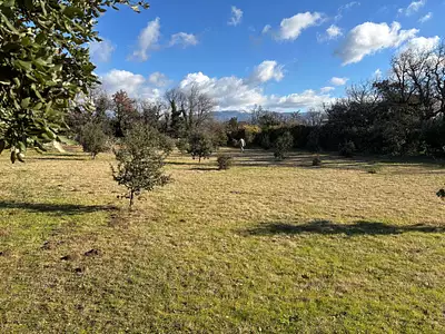Terrain, 1 205 m²