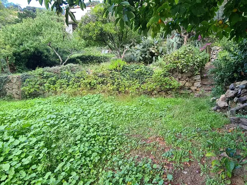 Terrain, 585 m²