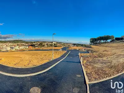Terrain