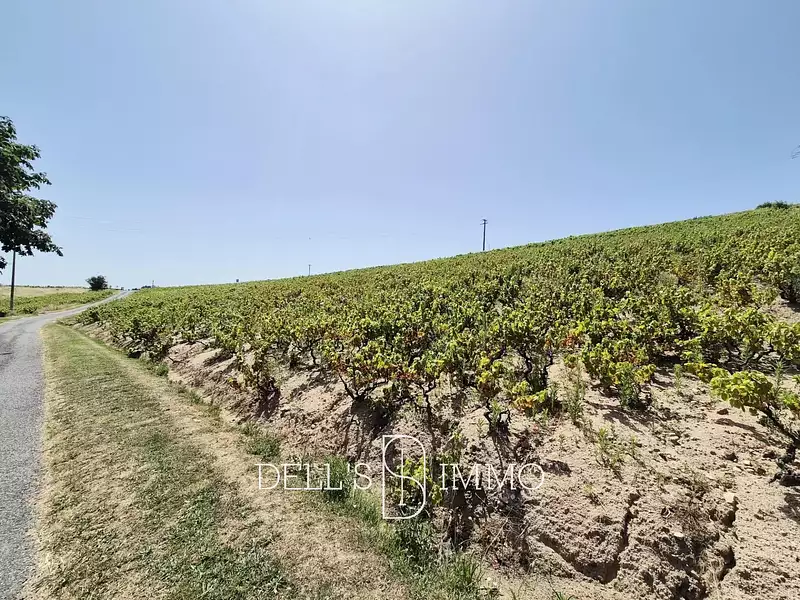 Terrain, 51 850 m²