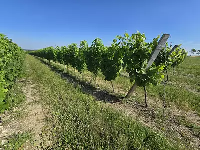 Terrain, 146 120 m²