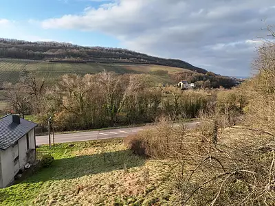 Terrain, 807 m²