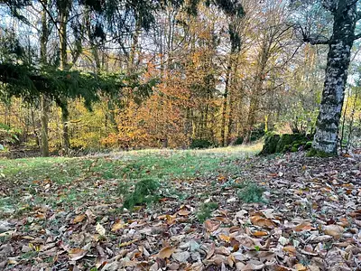 Maison, 61 m²