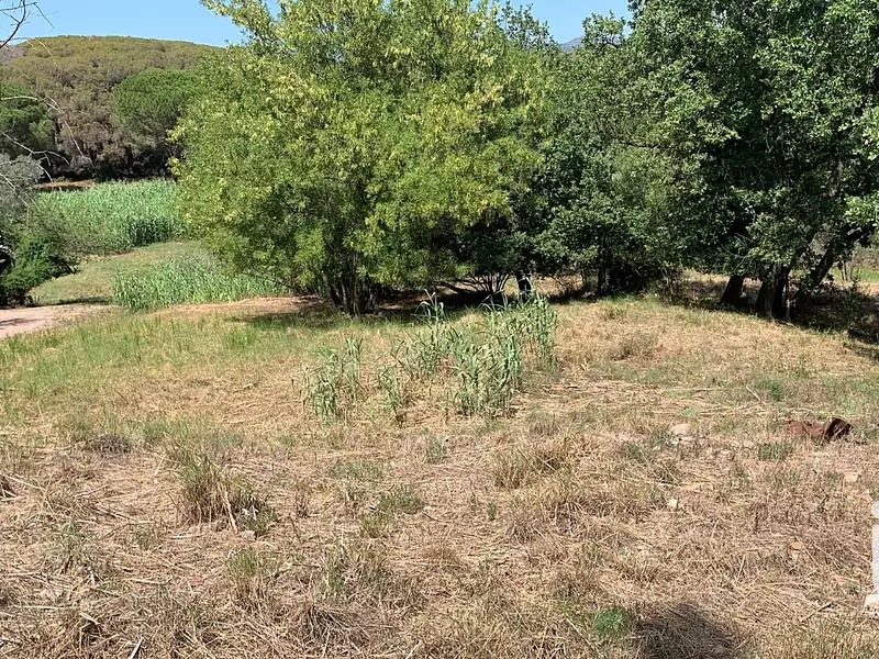 Terrain, 504 m²