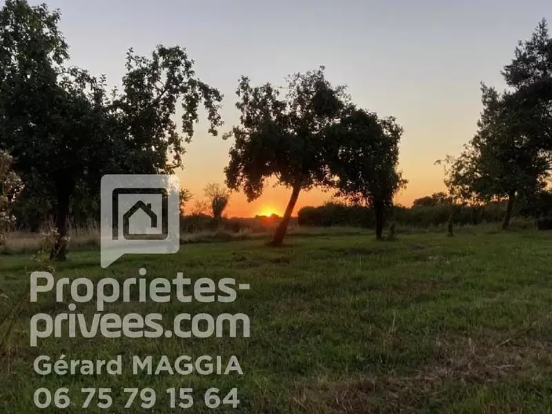 Terrain, 884 m²