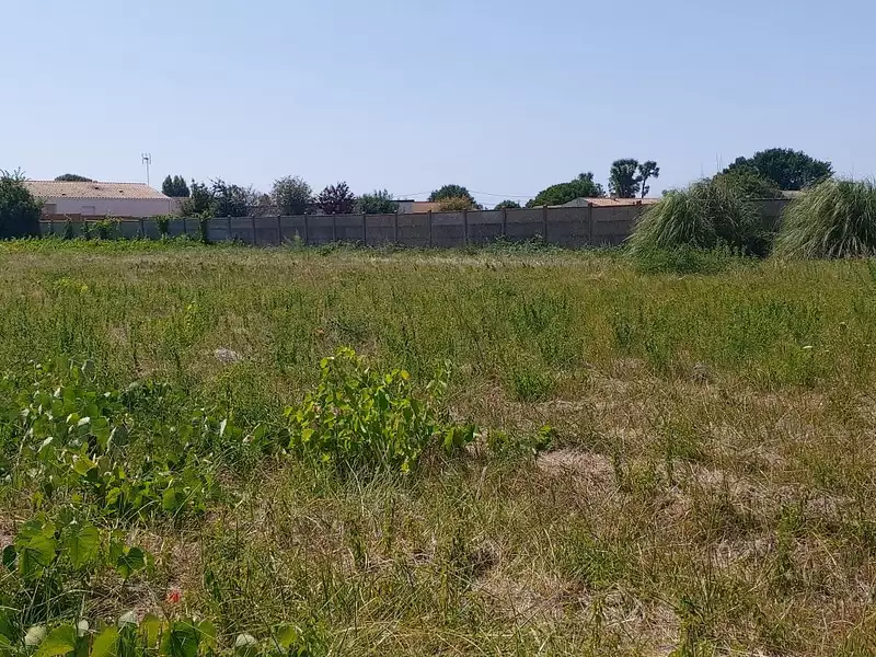 Terrain, 2 950 m²