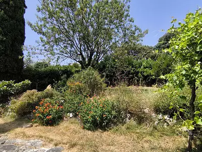 Terrain, 197 m²